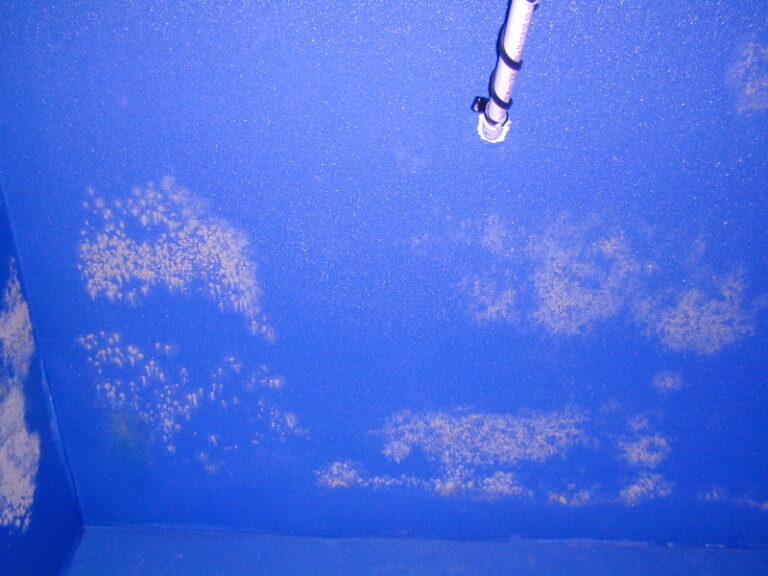 refrigerated cargo trailer mold