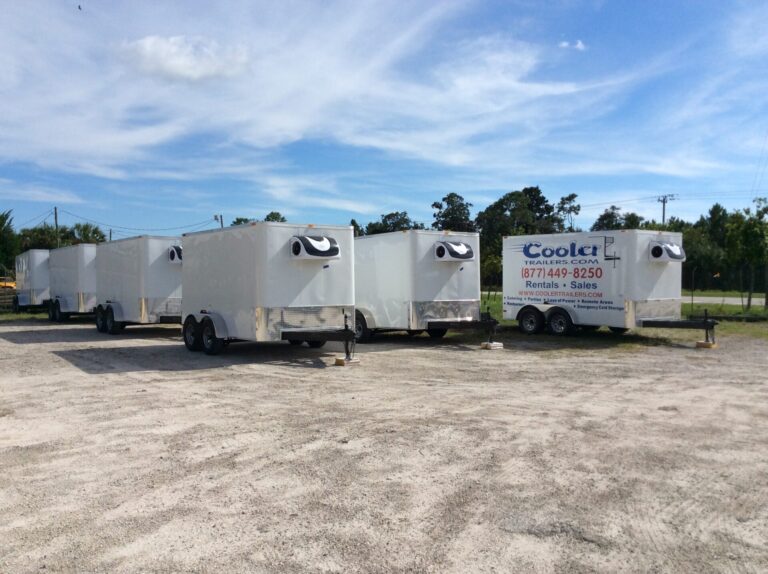 Best Polar Alternative